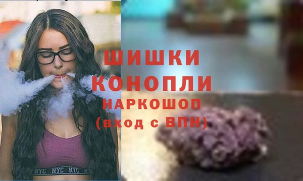 ГАЛЛЮЦИНОГЕННЫЕ ГРИБЫ Балабаново