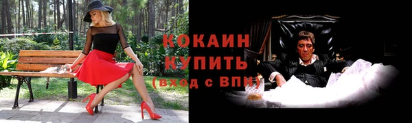 гашик Балахна
