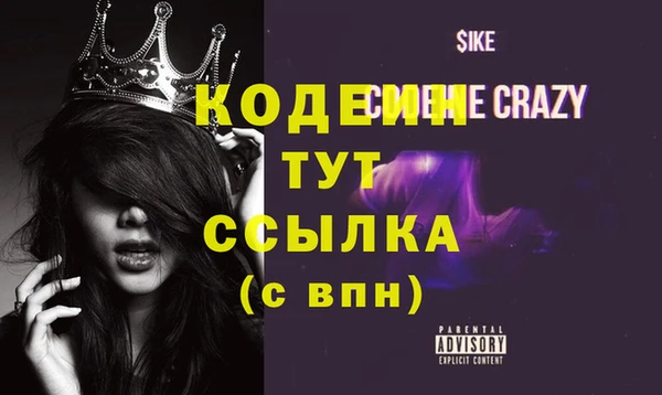 индика Переславль-Залесский