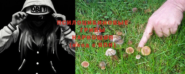 a pvp Баксан